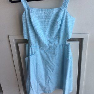 Birds of North America Bluebird Dress